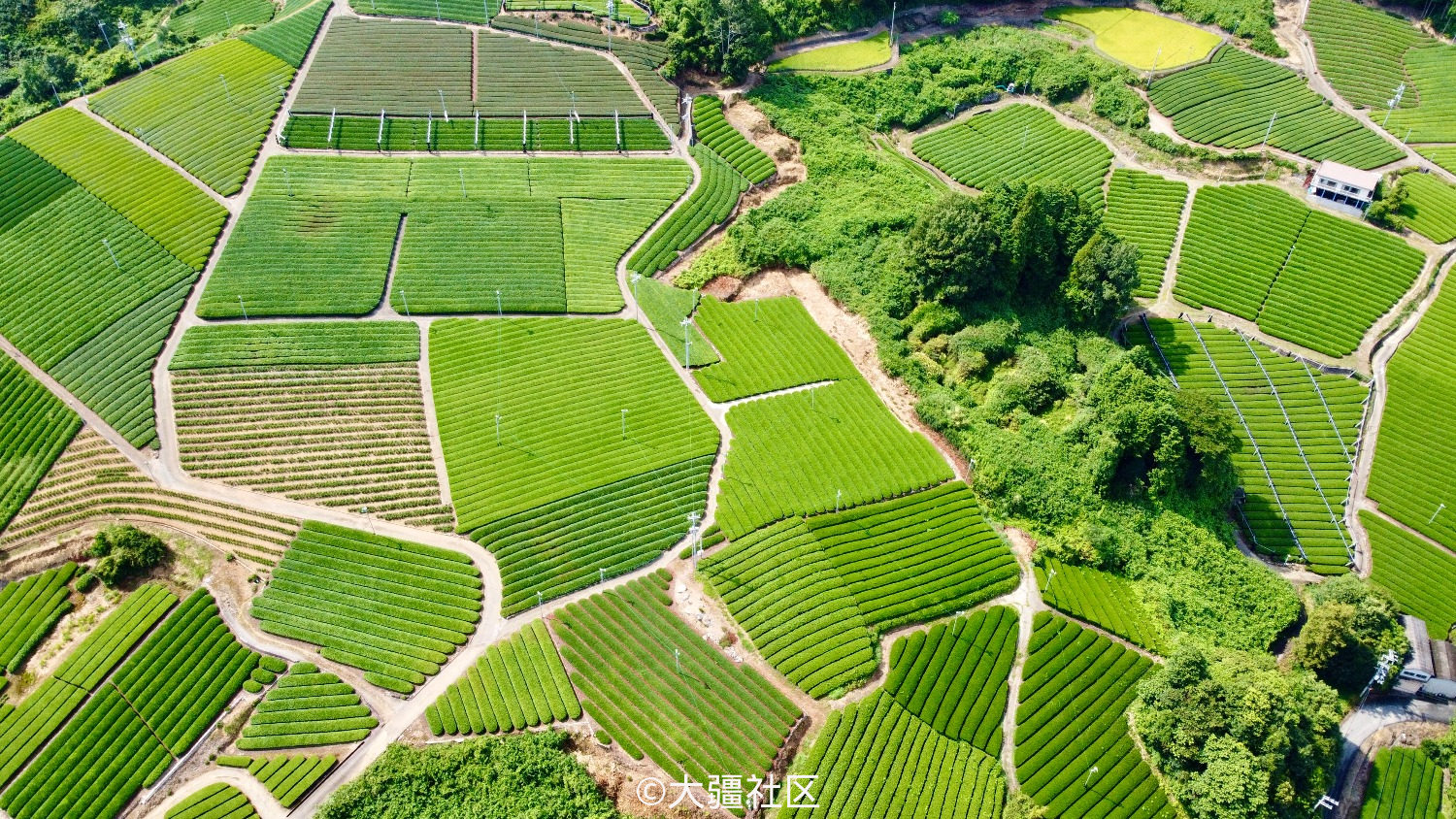 Mini日本京都茶田自驾拍摄图片 作品 大疆社区