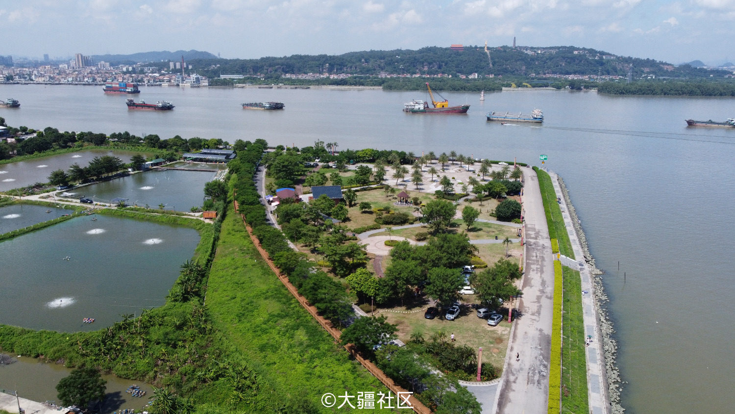 广州海鸥岛美景