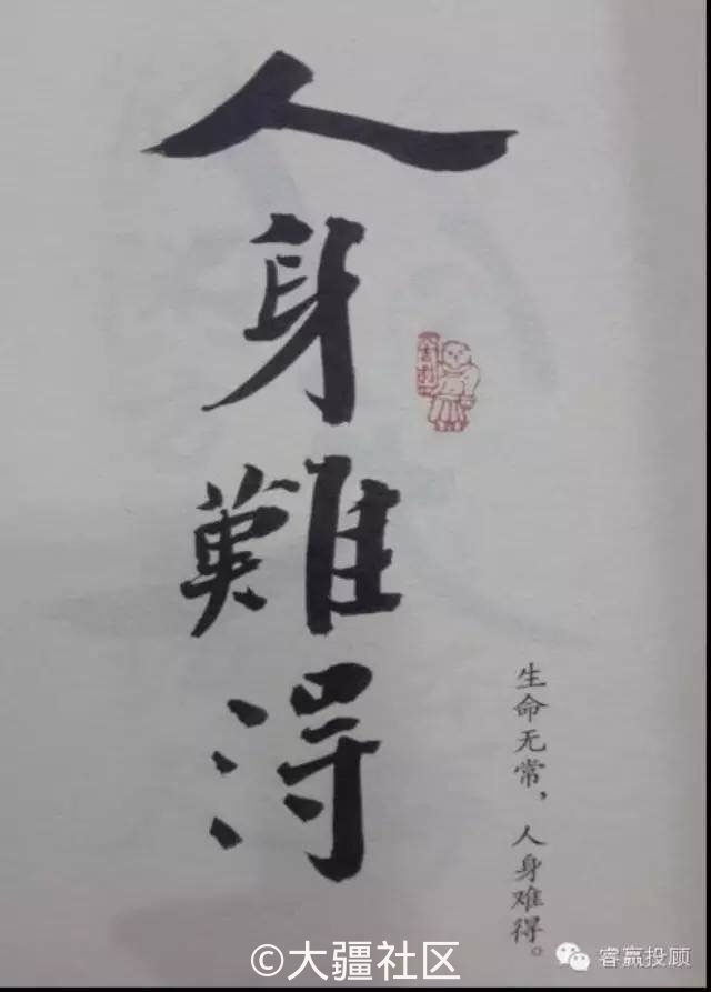 每日禅-作品-大疆社区