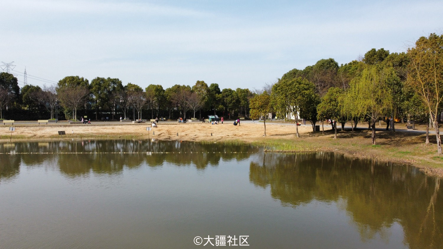 金海湿地公园