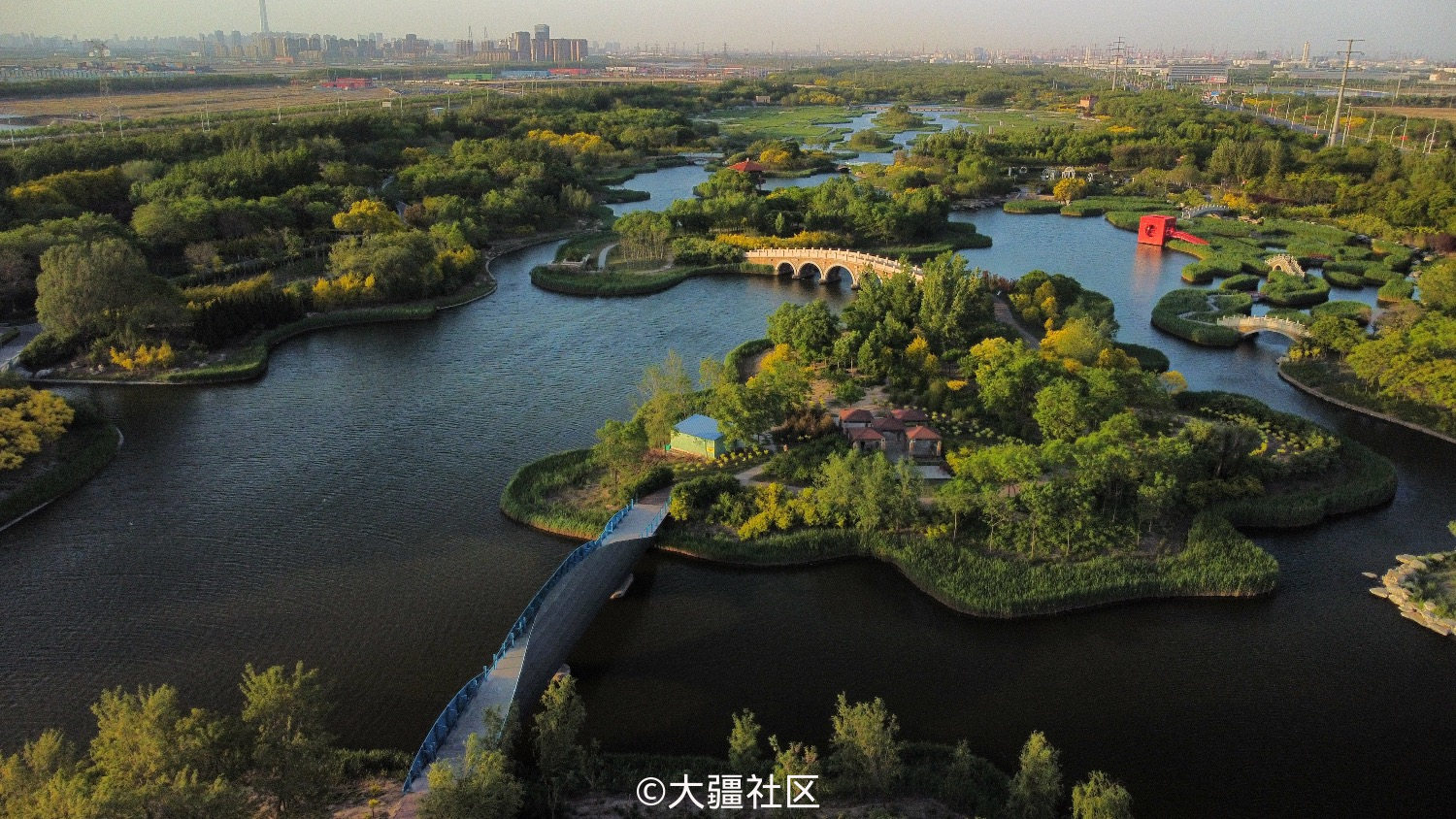 天津滨海新区湿地公园-作品-大疆社区