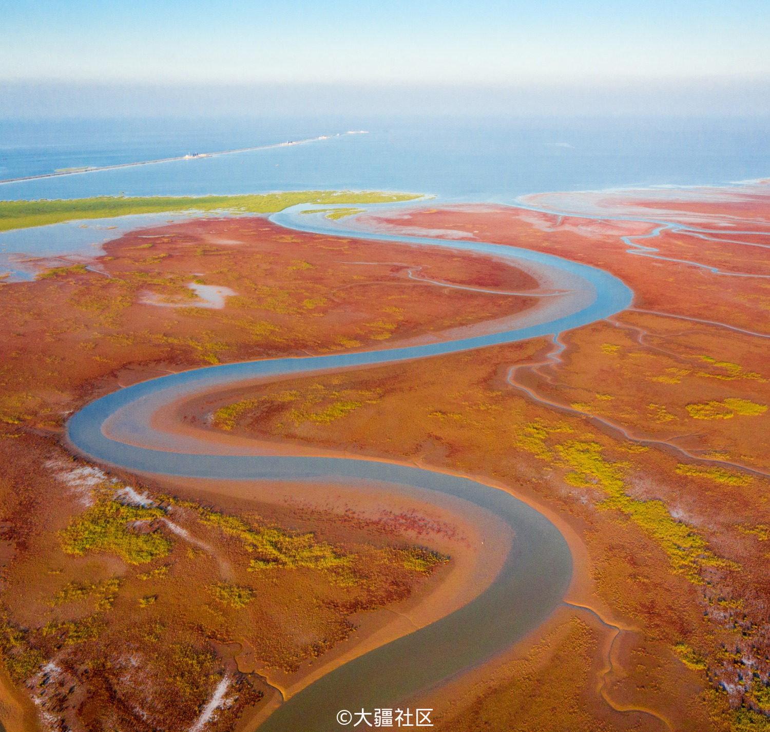 黄河口湿地