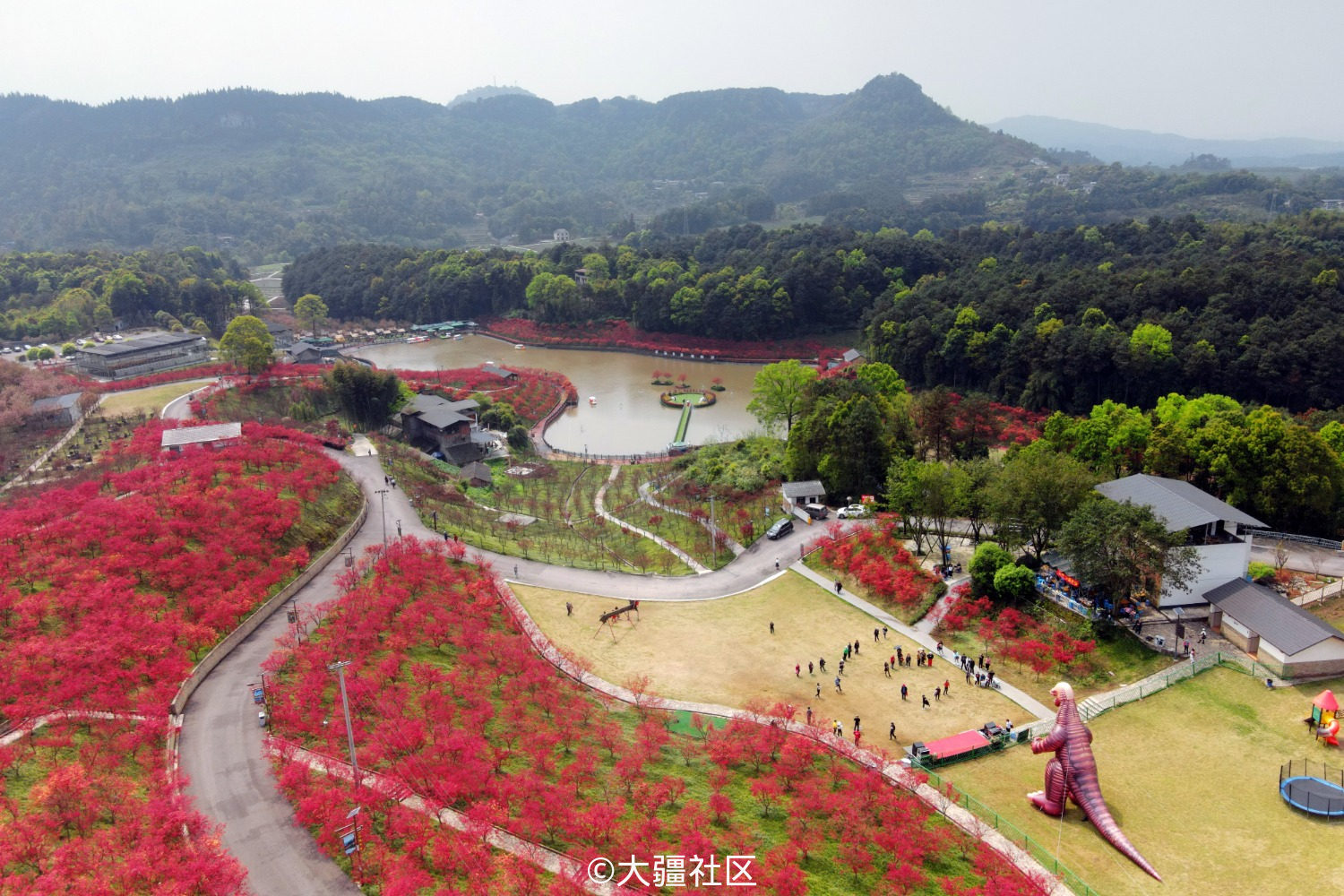 重庆巴南多彩植物园