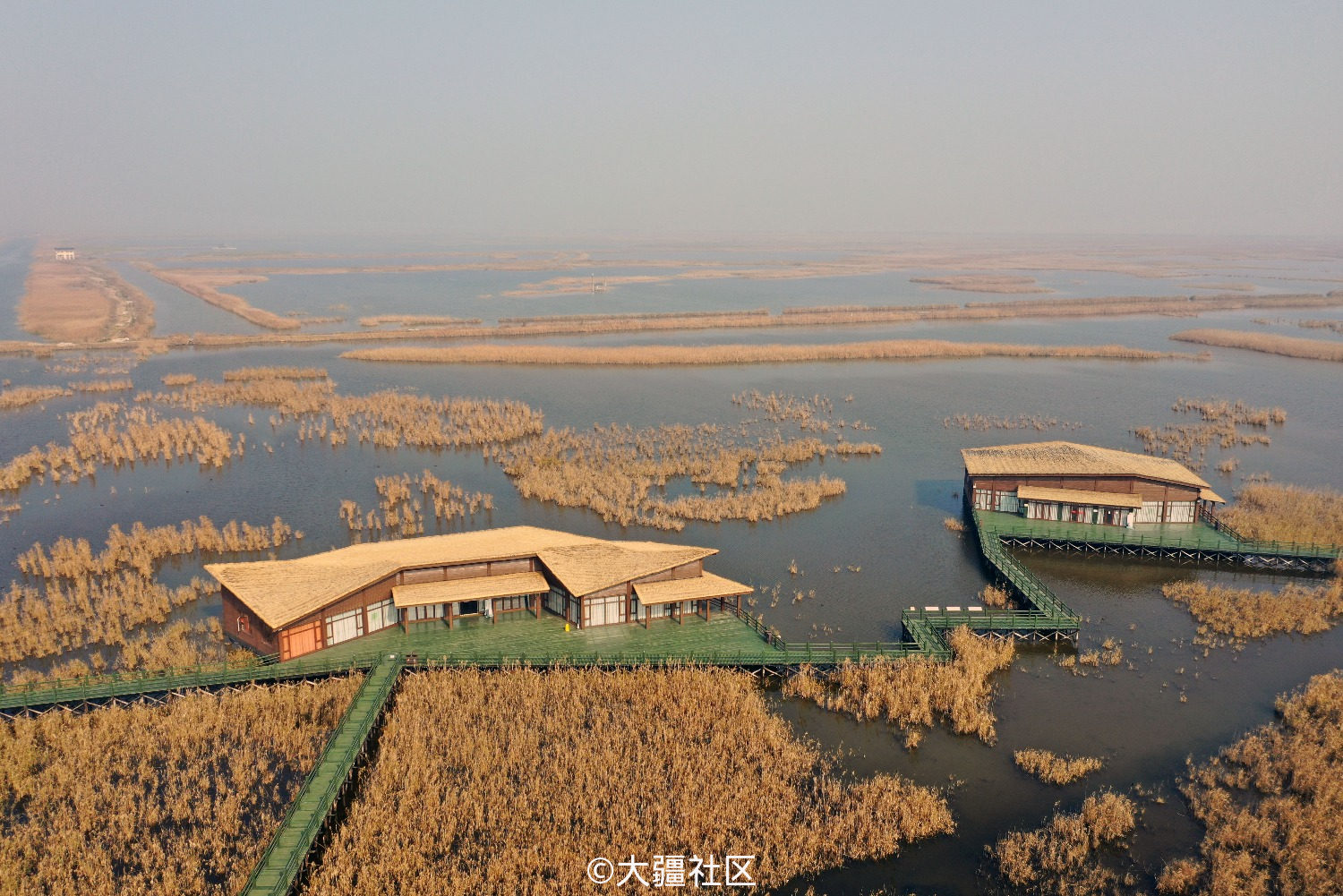 崇明东滩湿地