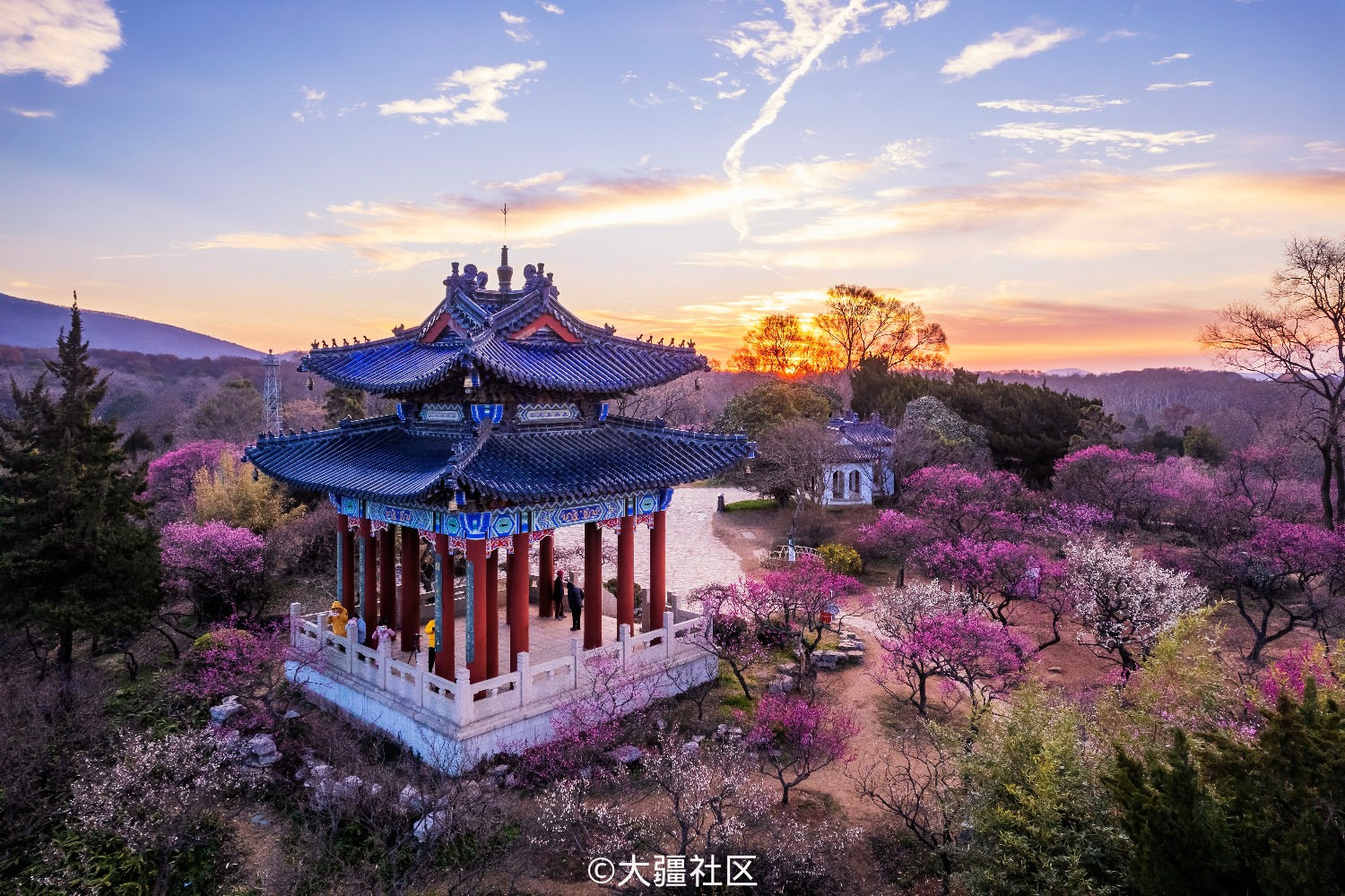 南京梅花山日出-航拍无人机-大疆社区