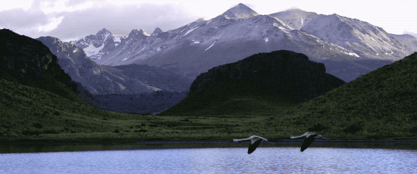 3.gif