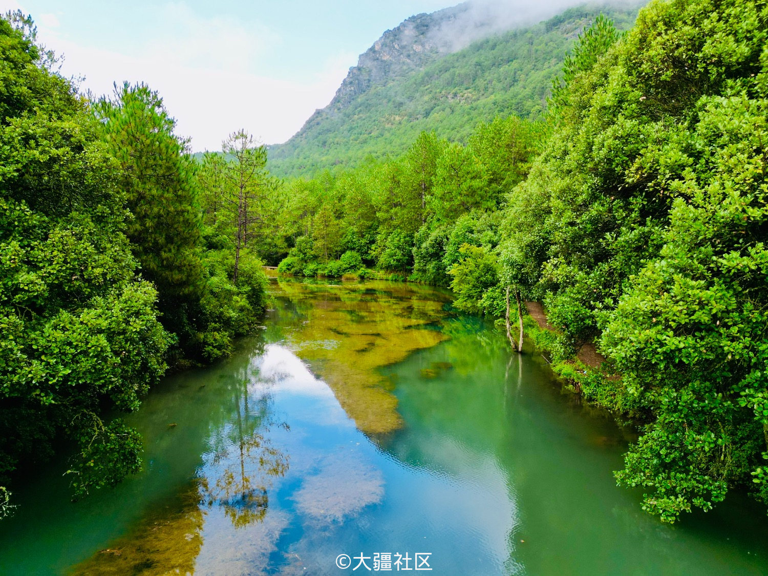 夏日回忆 丽江风景 活动 大疆社区