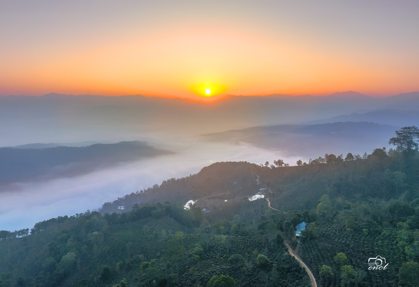 澜沧县茶山图片