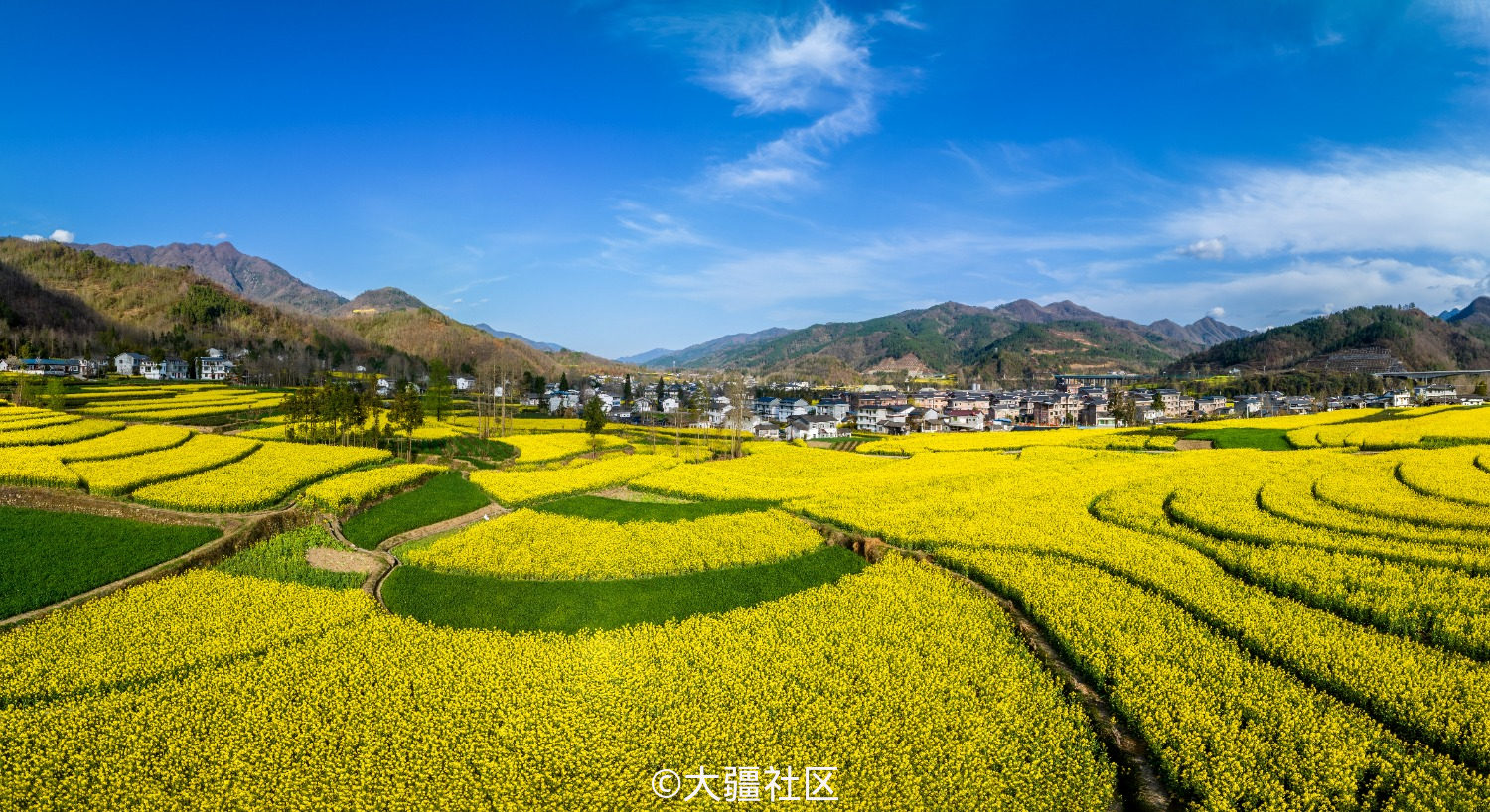 春回大地 风景美图片