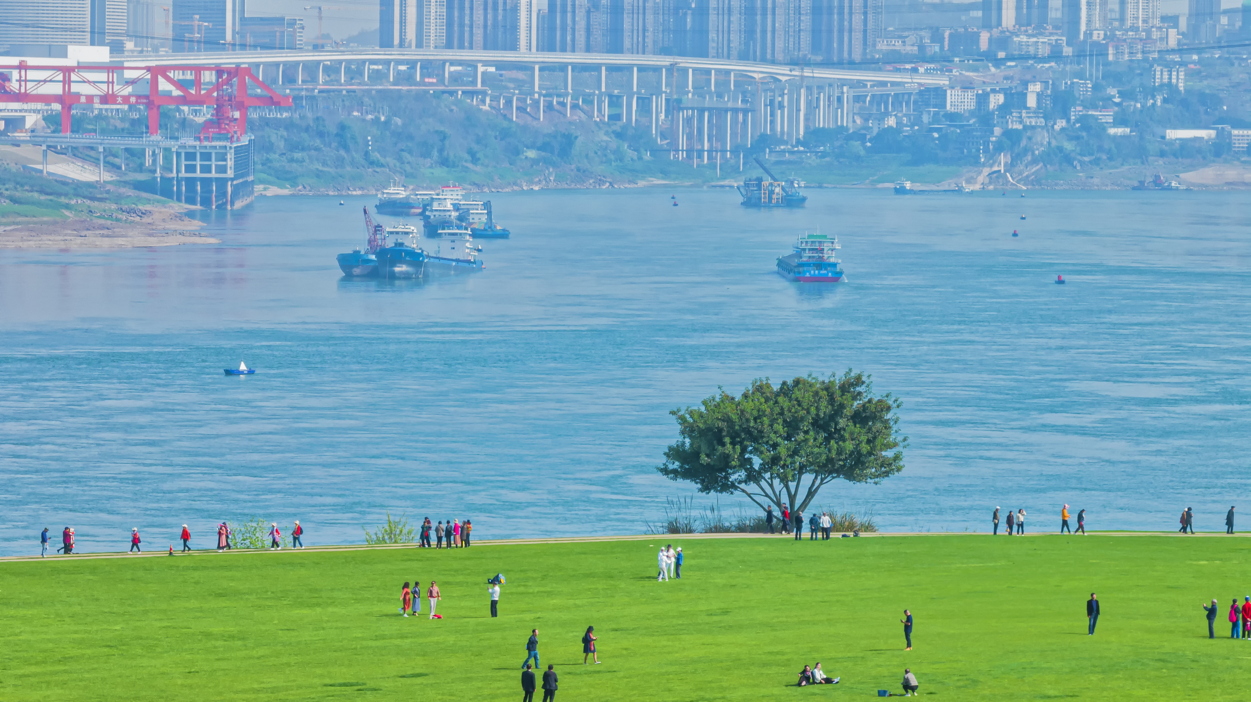 重庆广阳岛景点图片