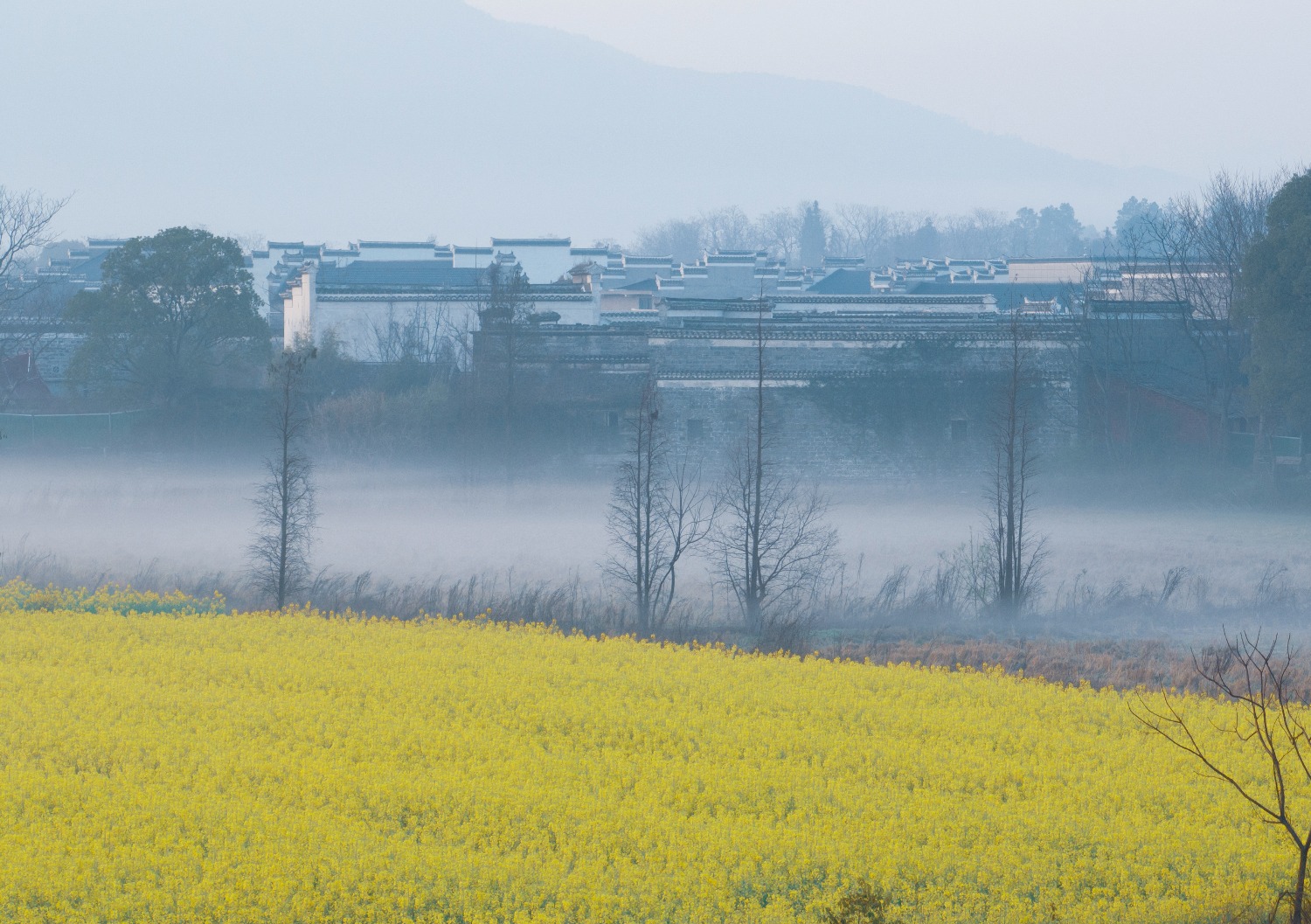 春回大地古村三月雾朦胧