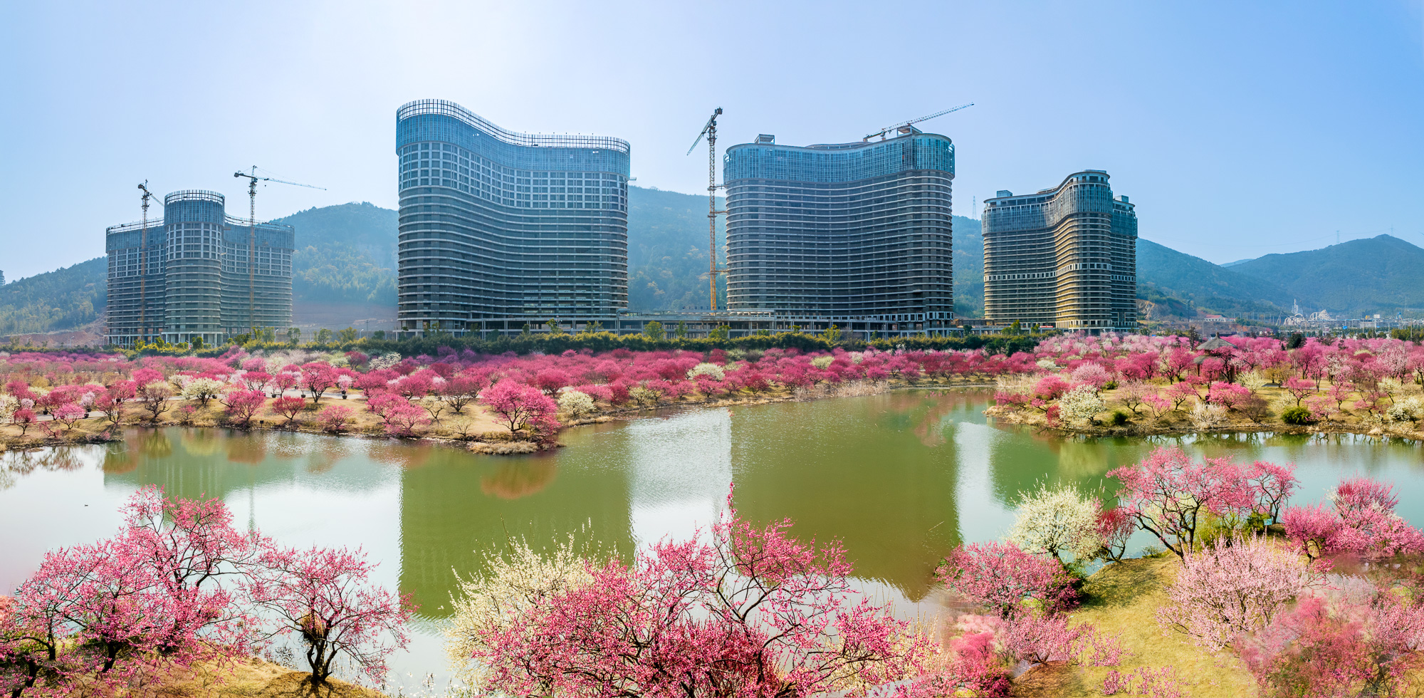 《"梅"好前景》2023年3月2日航拍于浙江湖州龙之梦东方盆景园dji_0335