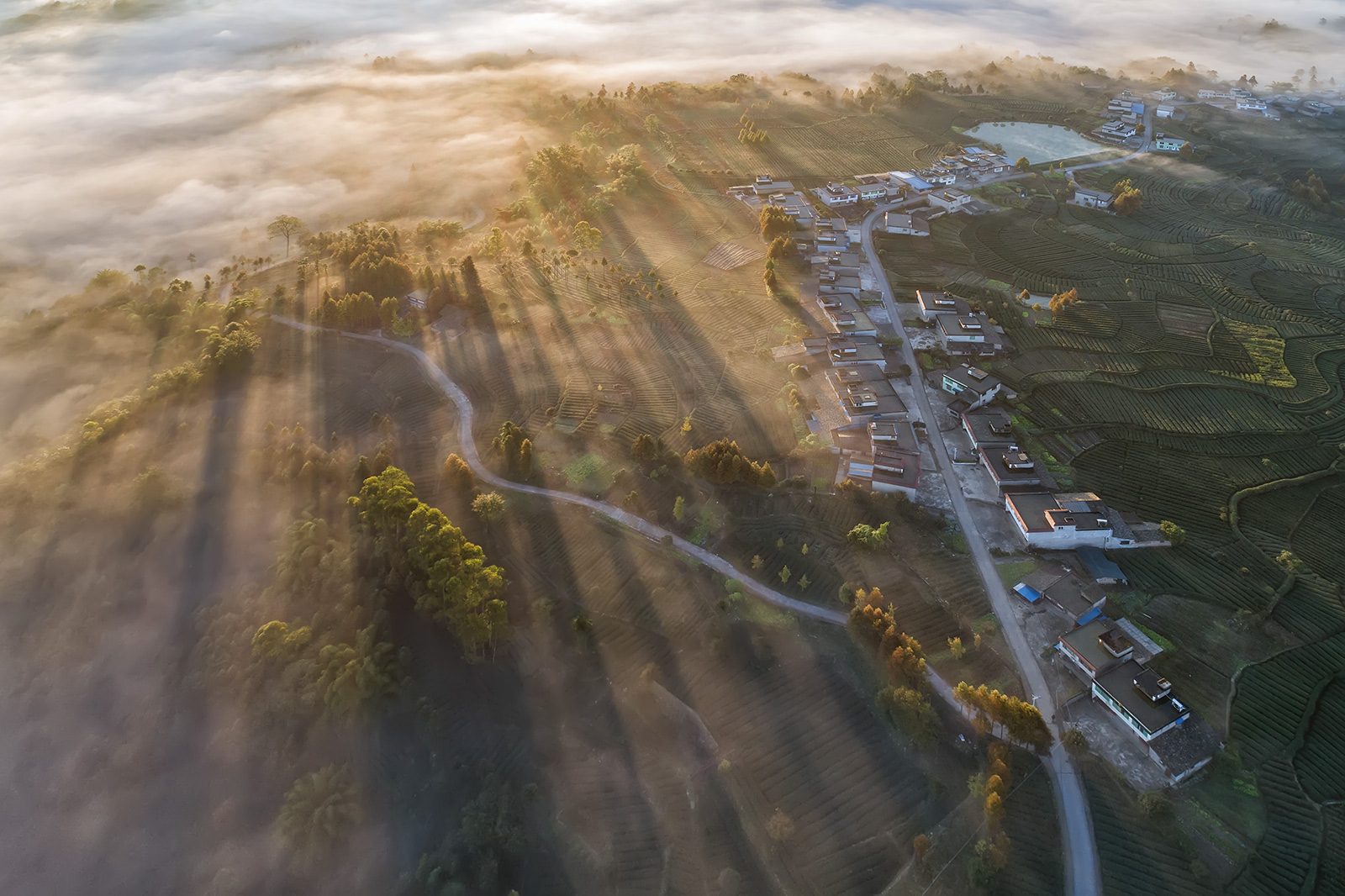 DJI_0788-HDR.jpg