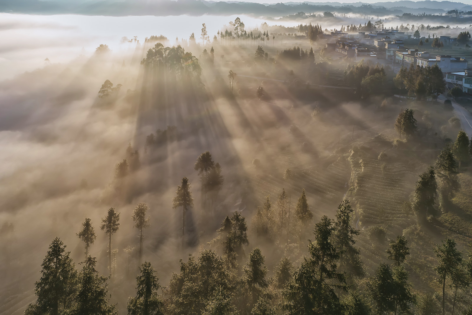 DJI_0862.jpg