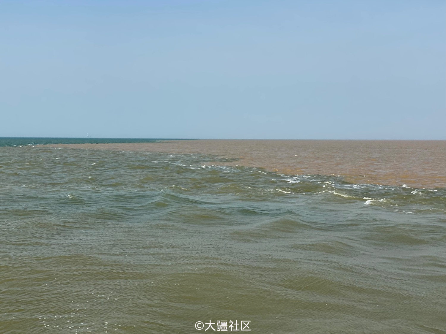 三探山东东营黄河入海口中国最大的鸳鸯锅航拍和鸟类爱好者的天堂