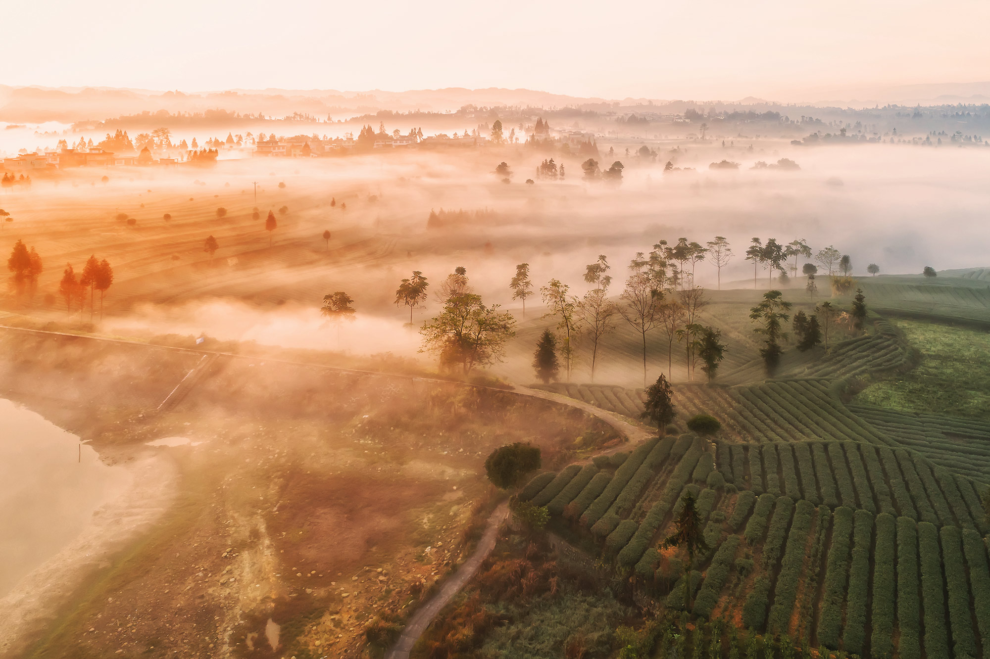 DJI_0243.jpg