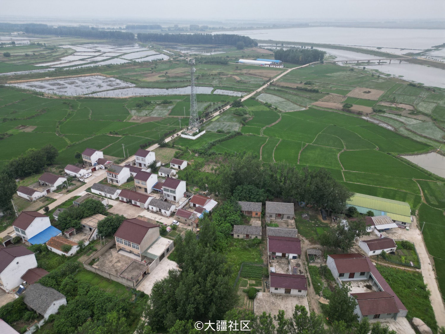 霍邱县城西湖军垦农场图片