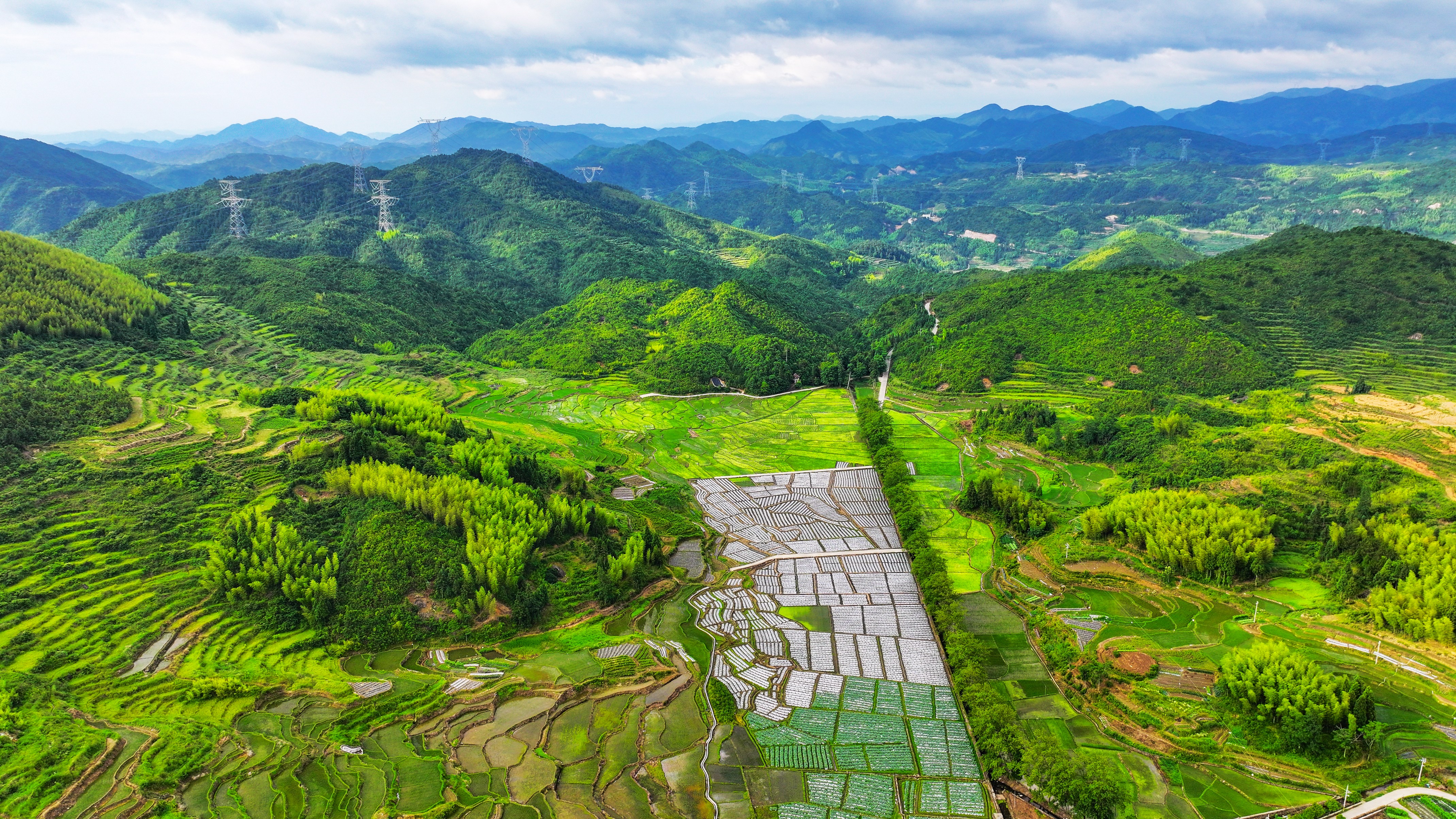 夏天美景乡村图片