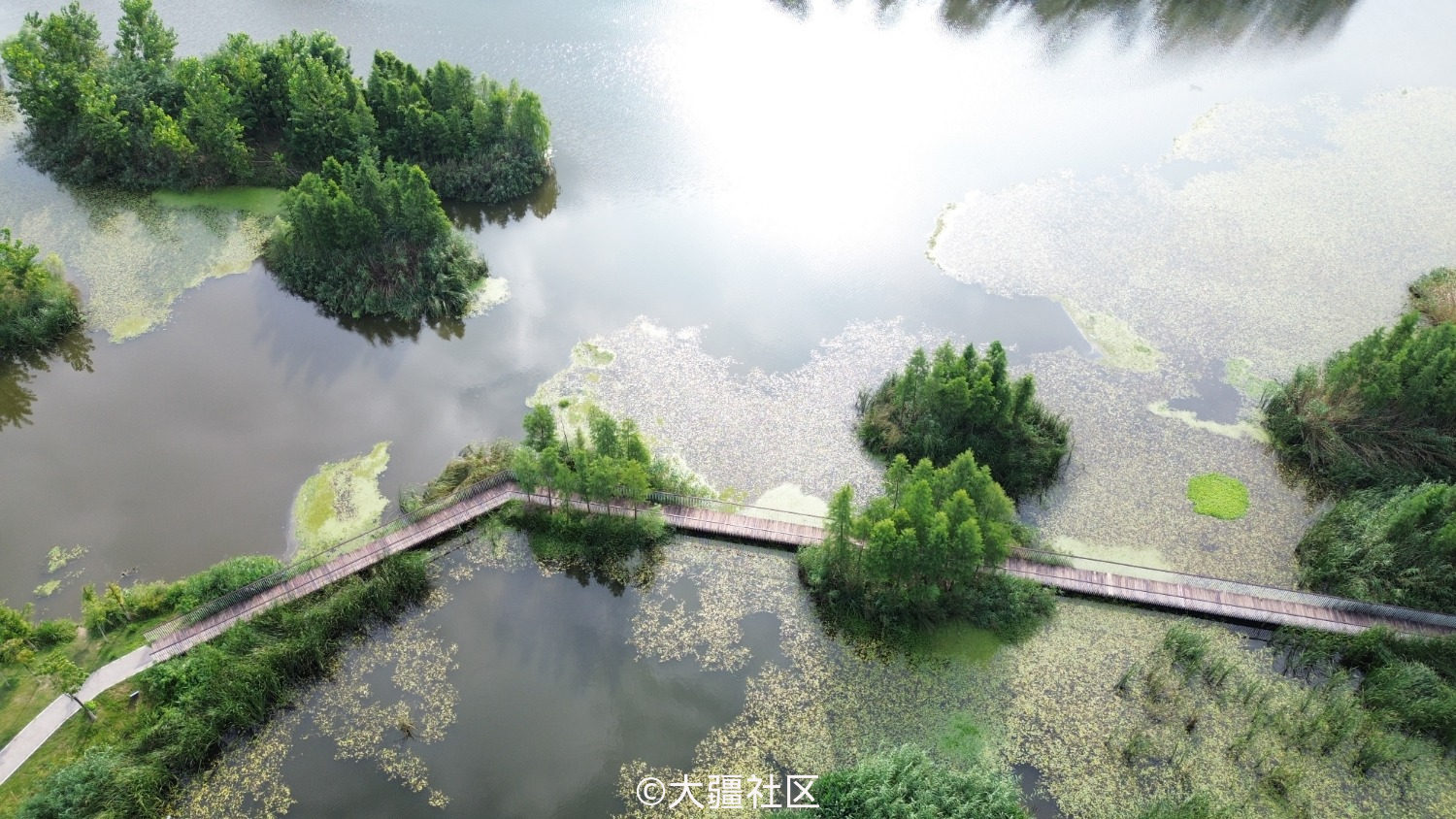 亳州陵西湖图片