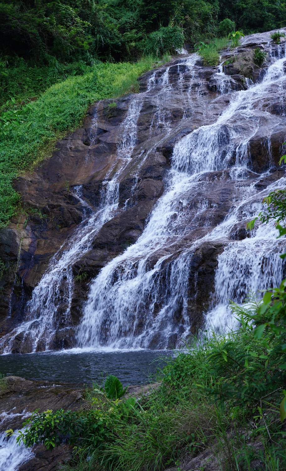 pic