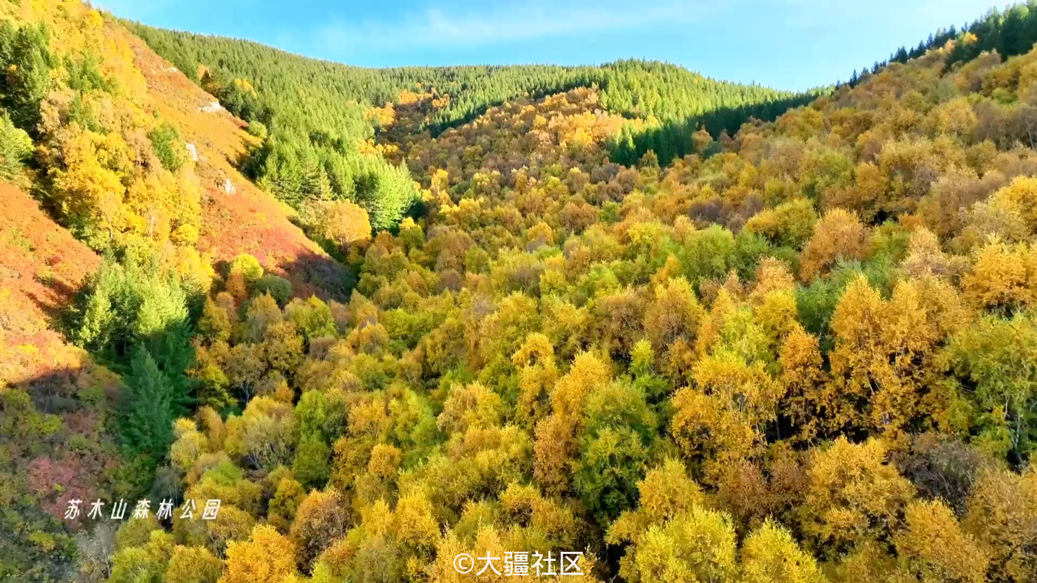 一帐入秋内蒙古自治区乌兰察布市兴和县苏木山森林公园