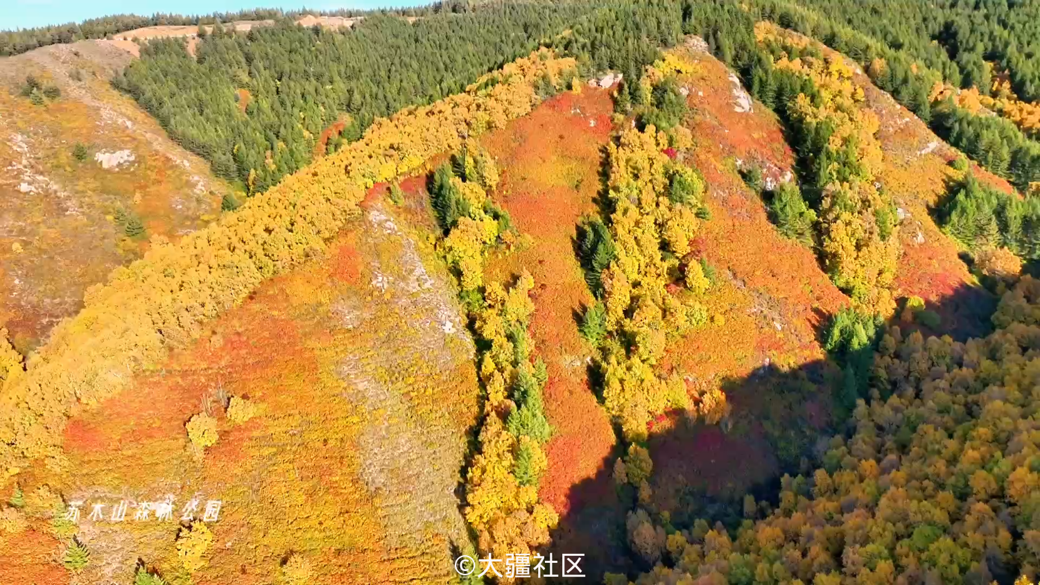 一帐入秋内蒙古自治区乌兰察布市兴和县苏木山森林公园