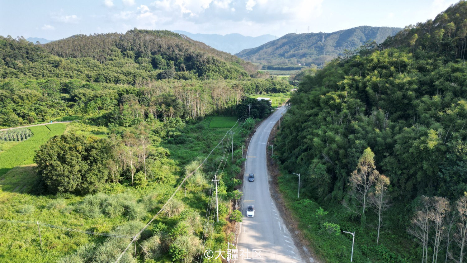 美丽乡村柏塘镇矮围村